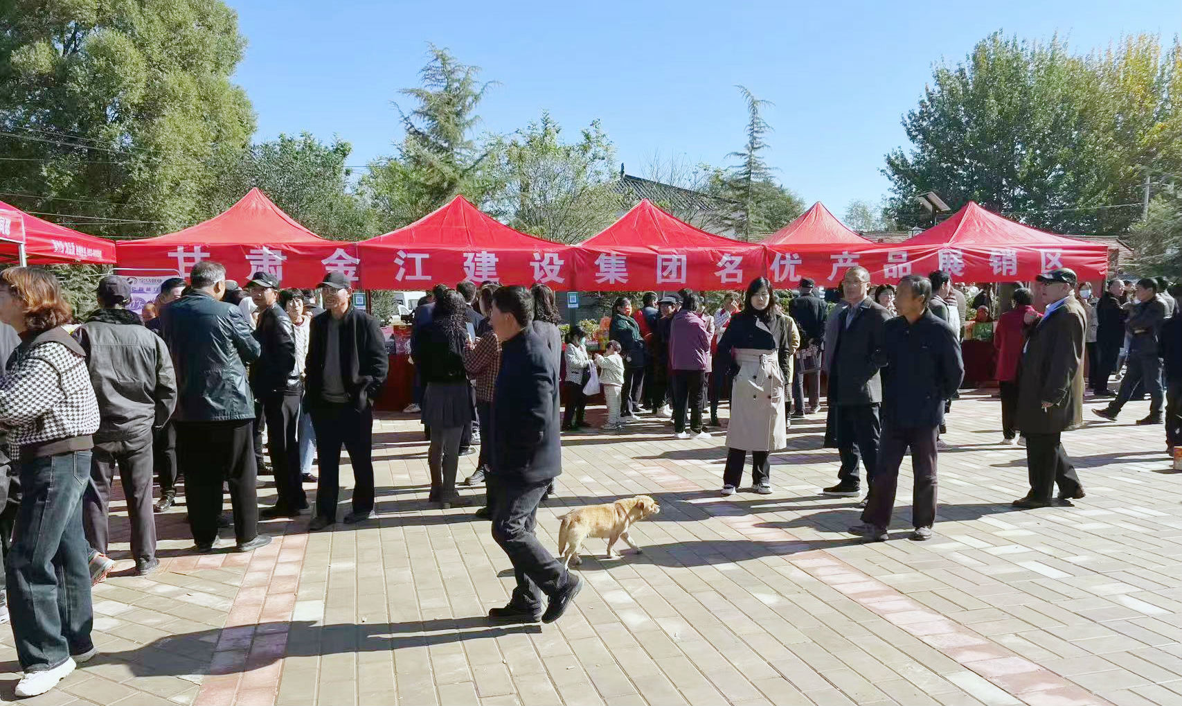 �ܴ��h������P���hȺ�����������Ļ��V����ɽ��Ӄxʽ�A�M�e��